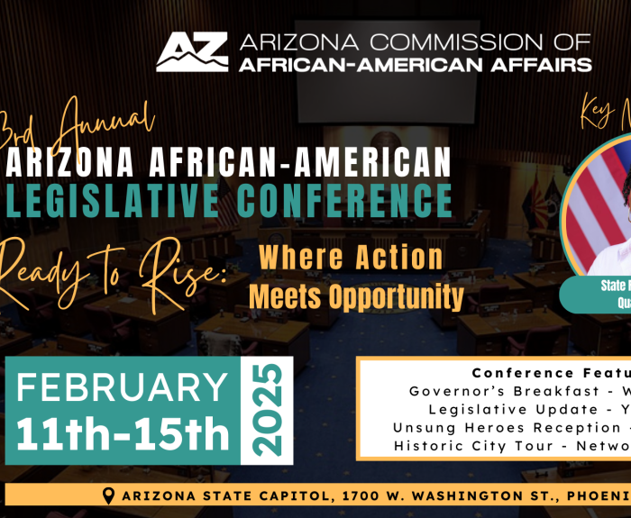 AAALC 2025 Presentation